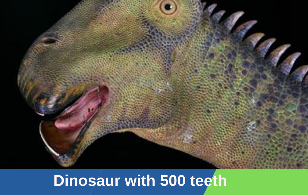 Who Among the Dinosaur Had 500 Teeth? “Nigersurus”