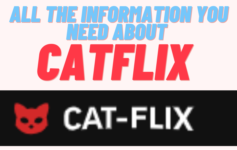 All the information you need about Catflix