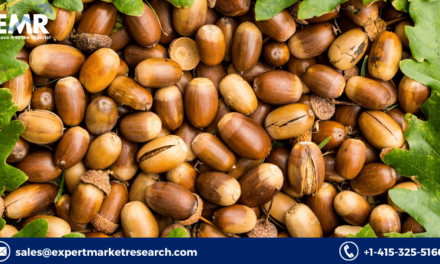 Acorn Nuts Market Size, Share, Report, Industry Size, Growth, Major Segments, Key Players and Forecast Period 2023-2028