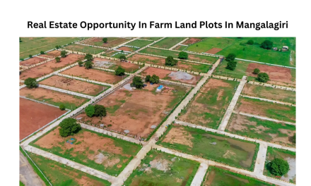 Real Estate Opportunity In Farm Land Plots In Mangalagiri