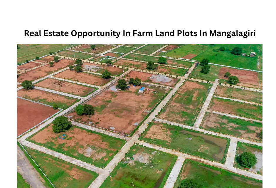 Real Estate Opportunity In Farm Land Plots In Mangalagiri