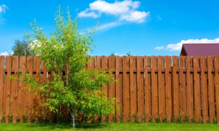 Creative and Unique Ideas for Wood Fencing in Katy TX Homes