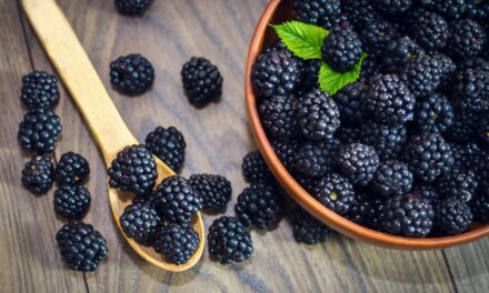 Blackberries Are Good For Men’s Health
