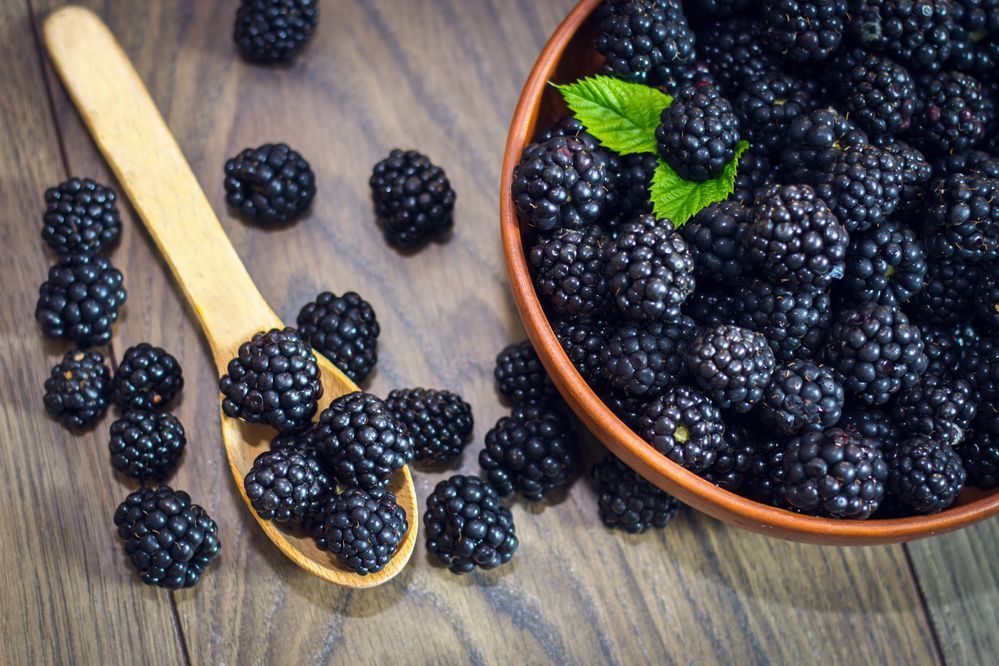 Blackberries Are Good For Men's Health