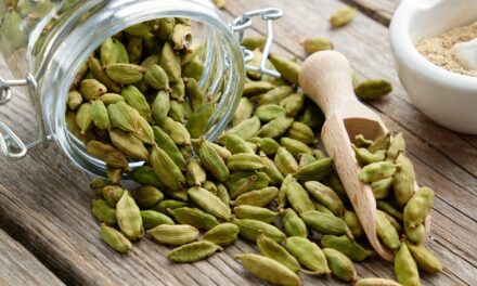 What Cardamom Can Do For Your Health