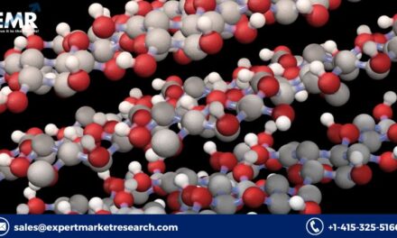 Global Cellulose Market Price, Trends, Growth, Analysis, Key Players, Outlook, Report, Forecast 2023-2028