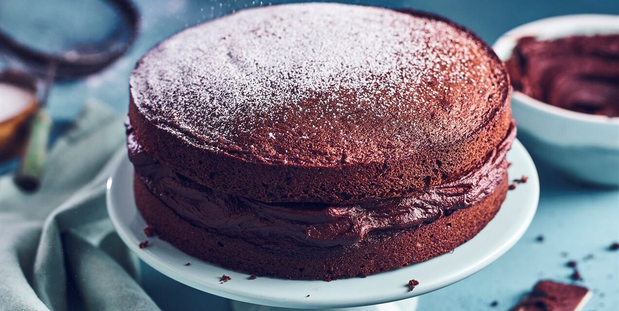The Definitive Guide To Chocolate Cake For Kids