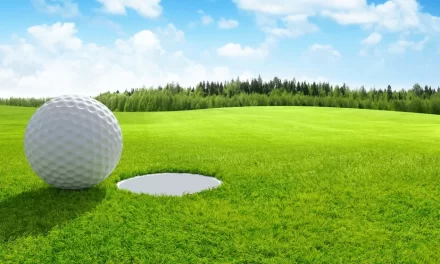 Golf Betting Tips – How to Make a Success of It