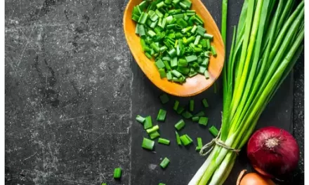 How Much Should You Know About Green Onions?