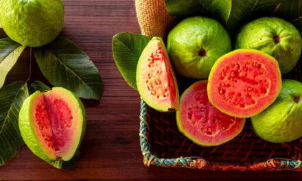 The health benefits of guava are numerous