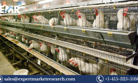 India Poultry Management Market Size To Grow At A Steady Pace In The Forecast Period Of 2023-2028