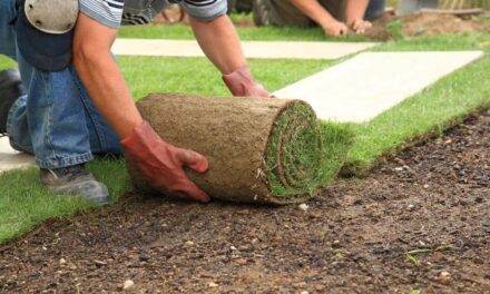 What Are the Benefits of Professional Lawn Installation?