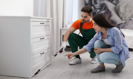 How to Choose the Right Carpet Cleaning Services Company for Move-In/Move-Out Cleaning