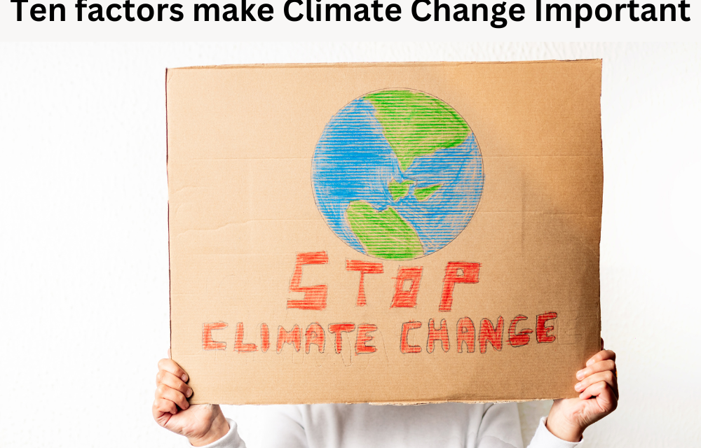Which ten factors make climate change important?