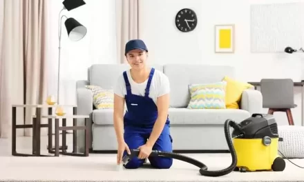 The Benefits of a Professional Touch: Hire a Carpet Cleaning Service