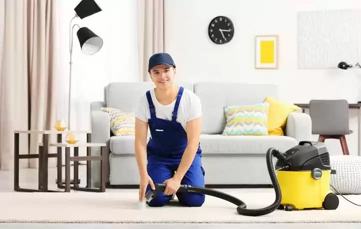 The Benefits of a Professional Touch: Hire a Carpet Cleaning Service