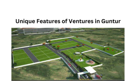 Unique Features of Ventures in Guntur