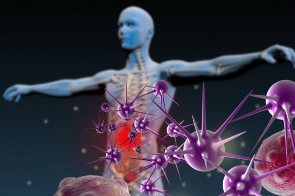What Importance Of Healthy Immune System