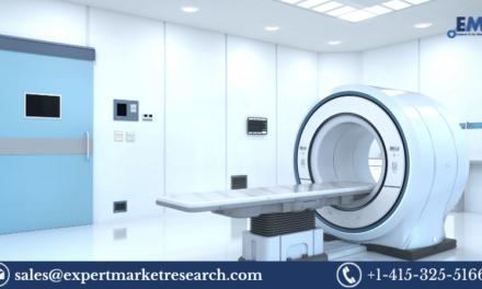 Medical Imaging Phantoms Market Size, Share, Trends, Research, Report And Forecast 2023-2028