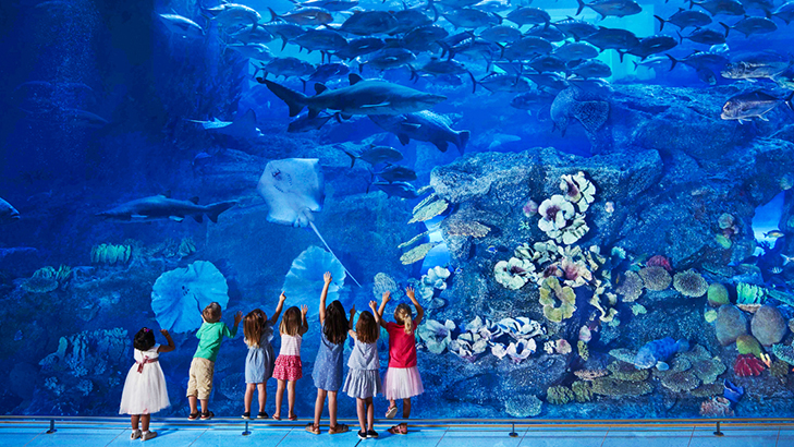 How I Got Up Close with Marine Life at Dubai Mall Aquarium: A Review
