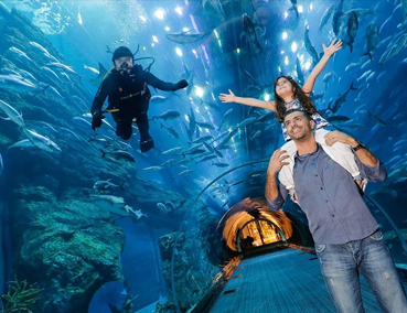 Explore the Wonders of Dubai Underwater Zoo and Aquarium