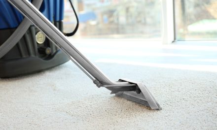 The Ultimate Guide to Carpet Cleaning: Everything You Need to Know
