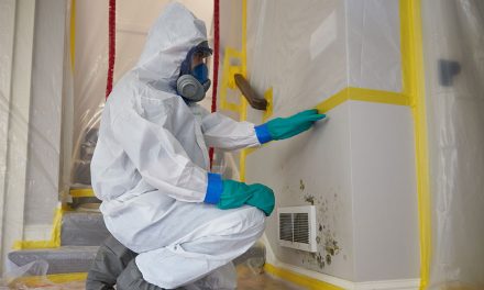 The Most Common Places To Find Mold In Your Home