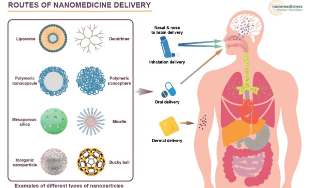 Breaking Barriers: How Nanomedicines Are Transforming Healthcare